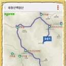 LG베스트샵 앞 횡단보도 이미지