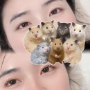 마이다스빌딩 | 문정동 속눈썹 펌 페이스라인 후기, 맞춤 디자인으로 인생 컬 완성