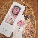 비엘비비(비엘BB) 이미지