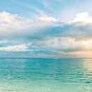 푸른컴퓨터 이미지