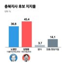 [6·1 대전·충남·충북 여론조사] 이장우 43.4%-허태정 39.6%&#39;, 양승조 46.0%-김태흠 39.6% 이미지