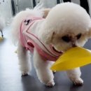 놀러왕왕왕 네이버블로그