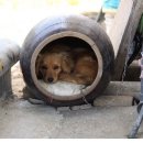 오늘의뽑기 이미지