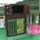 길순농장 티스토리