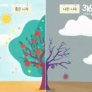 좋은이웃교회 앞 | 좋은 나무에 붙어 있는 가지에서 좋은 열매가 난다.