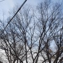 읍내6리 마을회관 이미지