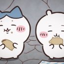 제주갈치명가 이미지