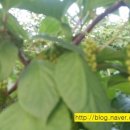 햇살농장2 이미지