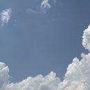 (주)비트리 | #1 [여행] 8월 말에 다녀온 마지막 여름휴가 삼-척 ੈ✩‧₊