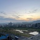 그림책이 쓰담쓰담 이미지