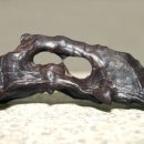 보물세상 이미지