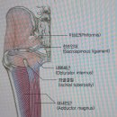 디오필라앤핏 오목교점 이미지