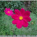 문수골산장 이미지