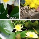 연못들5 이미지