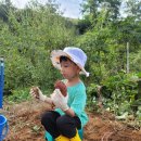 소담농장 이미지