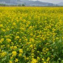 대저어린이집 이미지