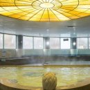 백송온천관광호텔 이미지