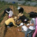 삼촌농장 이미지