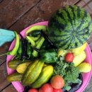 미루지 민박 이미지