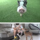 화신농장 이미지