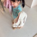 해솔추어탕