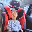 잭과 사과나무 | 경북 촌캉스 청도 잭과사과나무 아이랑 농촌 체험 놀이터 자연아 노올자