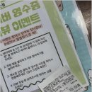부산강아지분양 드림독 안심분양센터 부산점 이미지
