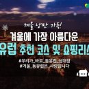 나비여행사