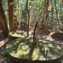 돌담추억 이미지