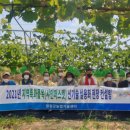 샤인컨설팅 이미지