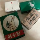 잠실준25시동물병원 | 도파민 더 주세요