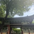 맑고 향기롭게 | [성북] 맑고 향기롭게 근본도량 길상사 산책