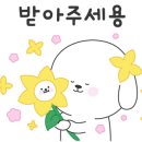 어바웃도그 이미지