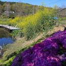 송라낚시터 이미지