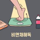 황금비앤채