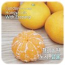 형제농원 이미지