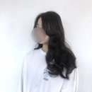 인 더 헤어 네이버블로그