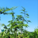 해송농장 이미지