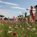 허수아비 이미지