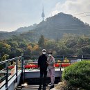 남산 가을단풍길 산책 이미지