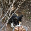 해인약국 이미지