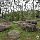 완도 고금도 지석묘군 이미지