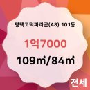 파라곤킹공인중개사사무소 이미지