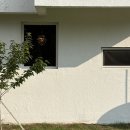 스테이 단밤 이미지