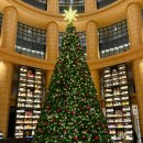 5 | 더베이직스 후쿠오카 챕터3 5인 숙박 후기