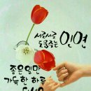 🌷🌾2019년4월25사랑은 봄비처럼 이별은겨울비처럼787기 🌷🌾 이미지