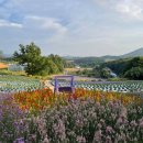 청천마을회관 이미지