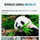 사천미식