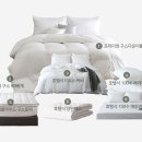 도아드림