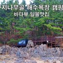 꾸지나무골해수욕장번영회 네이버블로그
